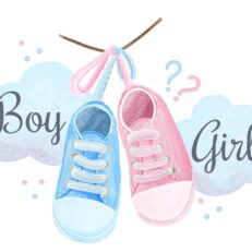 15479075_5600759 15479075_5600759